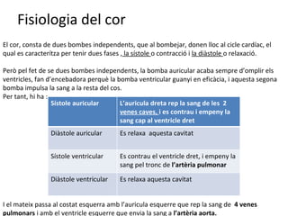 Fisiologia del cor El cor, consta de dues bombes independents, que al bombejar, donen lloc al cicle cardíac, el qual es caracterítza per tenir dues fases ,  la sístole  o contracció i  la diàstole  o relaxació. Però pel fet de se dues bombes independents, la bomba auricular acaba sempre d’omplir els ventricles, fan d’encebadora perquè la bomba ventricular guanyi en eficàcia, i aquesta segona bomba impulsa la sang a la resta del cos. Per tant, hi ha :  I el mateix passa al costat esquerra amb l’auricula esquerre que rep la sang de  4 venes pulmonars  i amb el ventricle esquerre que envia la sang a  l’artèria aorta. Sístole auricular L’auricula dreta rep la sang de les  2  venes caves,  i es contrau i empeny la sang cap al ventricle dret Diàstole auricular Es relaxa  aquesta cavitat Sístole ventricular Es contrau el ventricle dret, i empeny la sang pel tronc de  l’artèria pulmonar Diàstole ventricular Es relaxa aquesta cavitat 