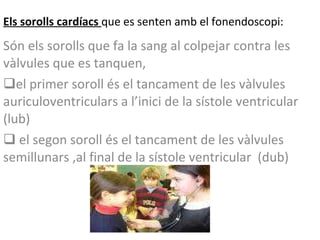 Els sorolls cardíacs  que es senten amb el fonendoscopi: Són els sorolls que fa la sang al colpejar contra les vàlvules que es tanquen,  el primer soroll és el tancament de les vàlvules auriculoventriculars a l’inici de la sístole ventricular  (lub) el segon soroll és el tancament de les vàlvules semillunars ,al final de la sístole ventricular  (dub) 