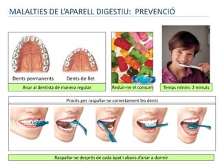 MALALTIES DE L’APARELL DIGESTIU: PREVENCIÓ 
Dents permanents Dents de llet 
AAnnaarra al l ddeennttiissttaa ddee mmaanneerraa rreegguulalarr RReedduuiirr--nnee eell ccoonnssuumm Temps mínim: 2 minuts 
Procés per raspallar-se correctament les dents 
Raspallar-se després de cada àpat i abans d’anar a dormir 
 