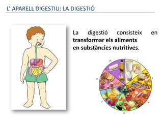 L’ APARELL DIGESTIU: LA DIGESTIÓ


                        La digestió consisteix       en
                        transformar els aliments
                        en substàncies nutritives.
 