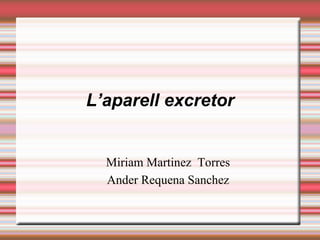 L’aparell excretor Miriam Martinez  Torres Ander Requena Sanchez 