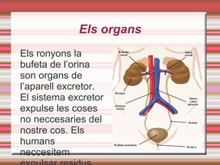 Els residus 