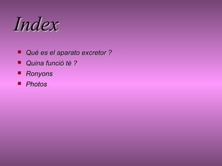 Index


Què es el aparato excretor ?



Quina funció té ?



Ronyons



Photos

 