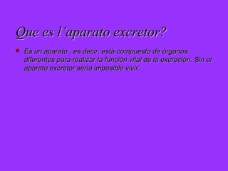 Que es l’aparato excretor?


Es un aparato , es decir, está compuesto de òrganos
diferentes para realizar la función vital de la excreción. Sin el
aparato excretor sería imposible vivir.

 