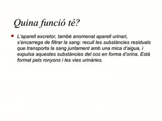 Quina funció té?


L’aparell excretor, també anomenat aparell urinari,
s’encarrega de filtrar la sang: recull les substàncies residuals
que transporta la sang juntament amb una mica d’aigua, i
expulsa aquestes substàncies del cos en forma d’orina. Està
format pels ronyons i les vies urinàries.

 