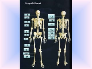 1 2 3 4 5 6 7 8 9 10 11 12 13 14 15 16 17 18 