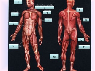 1 2 3 4 5 6 7 8 9 10 11 12 