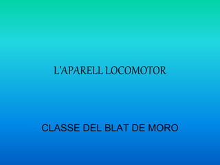 L’APARELL LOCOMOTOR
CLASSE DEL BLAT DE MORO
 