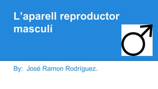 L’aparell reproductor
masculí
By: José Ramon Rodríguez.
 