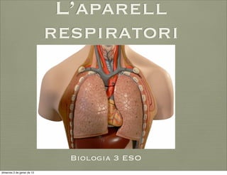 L’aparell
                            respiratori




                              Biologia 3 ESO
dimecres 2 de gener de 13
 
