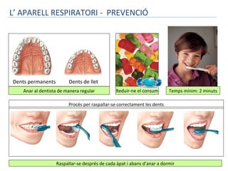 L’ APARELL RESPIRATORI - PREVENCIÓ

Dents permanents

Dents de llet

Anar al dentista
Anar al dentista de manera regular
manera regular

Reduir-ne consum
Reduir-ne el consum

Temps mínim: 2 minuts

Procés per raspallar-se correctament les dents

Raspallar-se després de cada àpat i abans d’anar a dormir

 