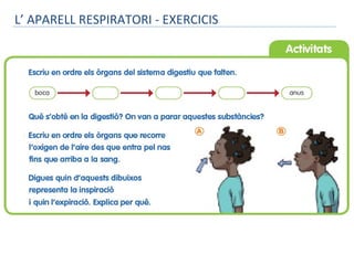 L’ APARELL RESPIRATORI - EXERCICIS

 