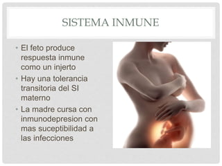SISTEMA INMUNE
• El feto produce
respuesta inmune
como un injerto
• Hay una tolerancia
transitoria del SI
materno
• La madre cursa con
inmunodepresion con
mas suceptibilidad a
las infecciones
 