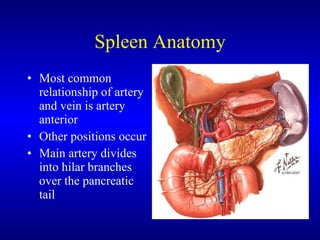 Laparoscopic Splenectomy | PPT