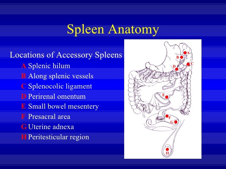 Laparoscopic Splenectomy