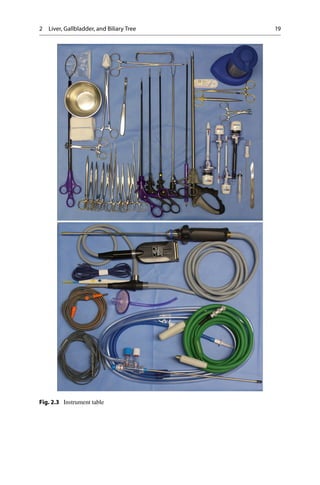 Liver Resection Instruments Laparoscopic surgery | PDF
