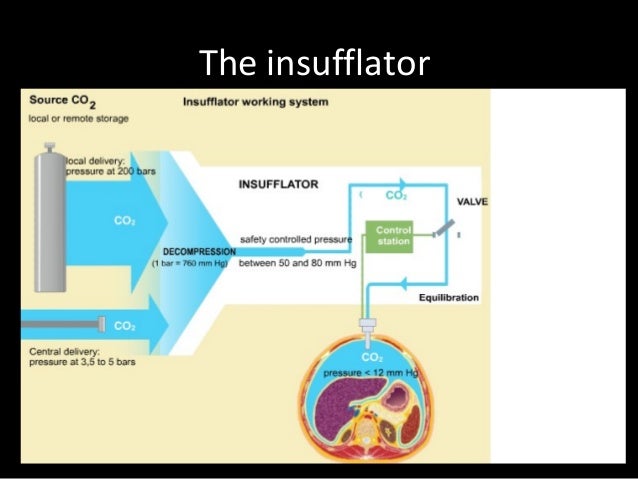 Laparoscopic surgery in dogs and cats