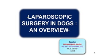 “LAPAROSCOPIC
SURGERY IN DOGS :
AN OVERVIEW”
Speaker
BHUBANESWAR SAHOO
Reg. No. 2020010160011035
Ph.D. Scholar
ARGO
1
 