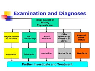 Examination and Diagnoses Initial evaluation History Physical exam Irregular menses No ovulation  HSG or Hysteroscopy Abnormal of  uterine Normal evaluation HSG Tubal blockage Abnormal  Semen  analysis anovulation  Tubal factor unexplained Uterine factor Male factor Further Investigate and Treatment  