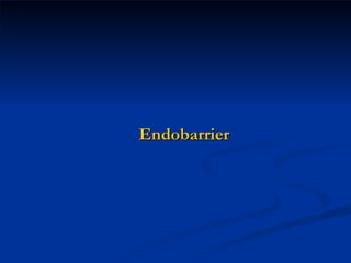 Endobarrier 