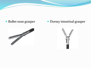  Bullet nose grasper  Dorsey intestinal grasper
 