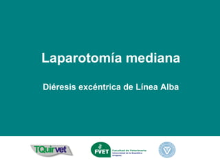 Laparotomía mediana Diéresis excéntrica de Línea Alba 