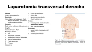 Mini Laparotomy Incision Comprehensive Overview of Abdominal Laparotomy Incisions and Techniques ...