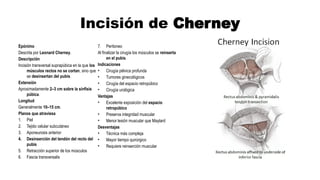 Comprehensive Overview of Abdominal Laparotomy Incisions and Techniques ...