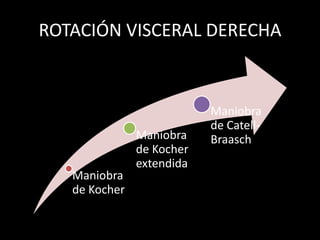 MANIOBRA DE KOCHER
• Movilización de la “c”
  duodenal y cabeza del
  páncreas hacia línea media
  para visualizar vena ca...