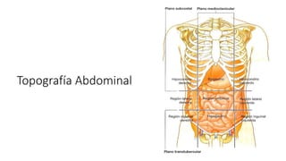 Topografía Abdominal
 