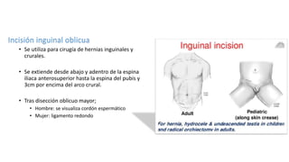 Incisión inguinal oblicua
• Se utiliza para cirugía de hernias inguinales y
crurales.
• Se extiende desde abajo y adentro de la espina
iliaca anterosuperior hasta la espina del pubis y
3cm por encima del arco crural.
• Tras disección oblicuo mayor;
• Hombre: se visualiza cordón espermático
• Mujer: ligamento redondo
 
