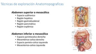 Técnicas de exploración Anatomopograficas
Abdomen superior o mesocólico
• Espacio subfrenico
• Región hepática
• Región gastroduodenal
• Región pancreática
• Región esplénica
Abdomen inferior o mesocólico
• Espacio parietocolco derecho
• Mesentérico-colico derecho
• Espacio parieto-colico izquierdo
• Mesenterico-colico izquierdo
 
