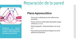  Cerrar con cuidado para evitar adherencias
parietales
 Sutura continua (reforzada) absorbible (catgut
crómico) 1-2 o 2-0
 Orificio pequeño = bolsa de tabaco con vicryl
3-0
 Para evitar que la serosa se desgarre se toma
aponeurosis posterior
Resistencia a ruptura
aumenta significativamente
cuando la sutura abarca las
dos hojas aponeuróticas
 