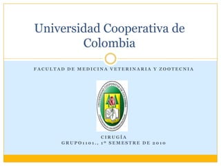 Universidad Cooperativa de Colombia FACULTAD DE MEDICINA VETERINARIA Y ZOOTECNIA cirugía Grupo1101., 1º Semestre de 2010 