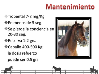 InducciónTiopental – Tiamilal5-10 min