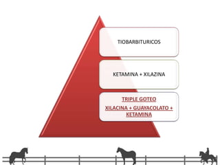 Se pierde la conciencia en 20-30 seg.