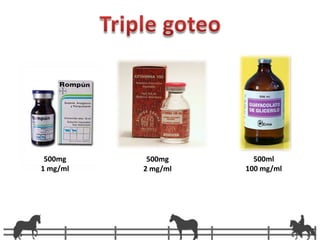 Caballo 400-500 Kg	la dosis refuerzo	puede ser 0.5 grs.