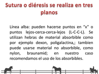 Protocolo: Derribo Inducción xilacina + Ketamina + GG