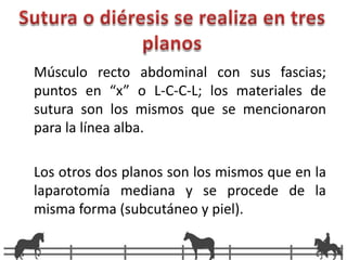 Terminar todo el preparadoTriple goteo500mg1 mg/ml500ml100 mg/ml500mg2 mg/ml