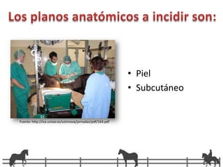 En solución de ringer	lactato o HartmannDosis a efectoClasificación anatómicaMEDIANAPARAMEDIANAVENTRALES INGUINALPARACOSTALFLANCOALTATRANSVERSALBAJA