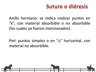 LAPAROTOMIAS VENTRALES