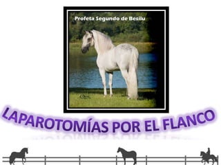 Laparotomías ventralesLaparotomía mediaUsos: Es de elección en la laparotomía exploratoria y en la cesárea; está indicada en algunas cirugías de cólico, cistotomía y ovariectomía.