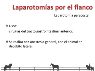 Línea alba: pueden hacerse puntos en “x” o puntos lejos-cerca-cerca-lejos (L-C-C-L). Se utilizan hebras de material absorbible como por ejemplo dexon, poligalactina,; tambien puede usarse material no absorbible, como nylon, braunamid; en nuestro caso recomendamos el uso de los absorbibles. Sutura o diéresis se realiza en tres planos