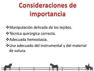 Los planos anatómicos a incidir son: Piel. 