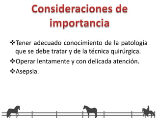 Músculo recto abdominal. 