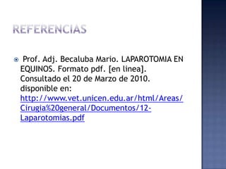 Fascia interna del músculo recto abdominal. 