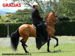 	Músculo recto abdominal con sus fascias; puntos en “x” o L-C-C-L; los materiales de sutura son los mismos que se mencionaron para la línea alba. 	Los otros dos planos son los mismos que en la laparotomía mediana y se procede de la misma forma (subcutáneo y piel). Sutura o diéresis se realiza en tres planos