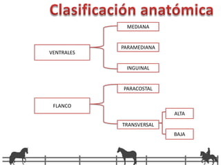 Clasificación anatómicaMEDIANAPARAMEDIANAVENTRALES INGUINALPARACOSTALFLANCOALTATRANSVERSALBAJA