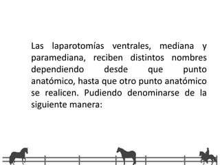 Las laparotomías ventrales, mediana y paramediana, reciben distintos nombres dependiendo desde que punto anatómico, hasta que otro punto anatómico se realicen. Pudiendo denominarse de la siguiente manera: