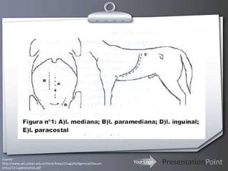 Fuente: http://www.vet.unicen.edu.ar/html/Areas/Cirugia%20general/Documentos/12-Laparotomias.pdf